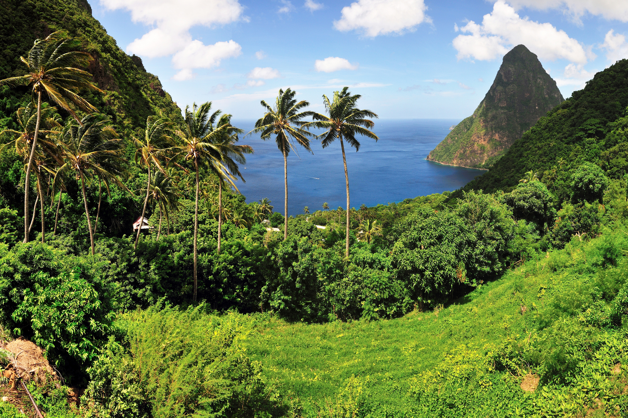 Saint Lucia